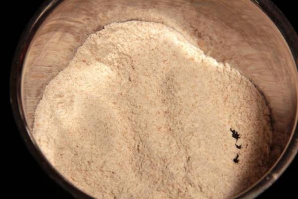 مشخصات آرد سوخاری مخصوص مرغ